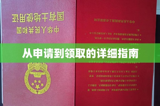 荣成从申请到领取的详细指南