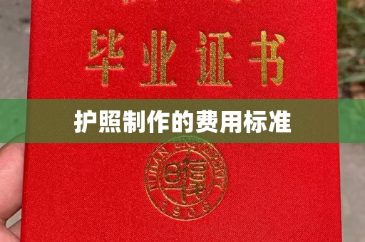 荣成护照制作的费用标准